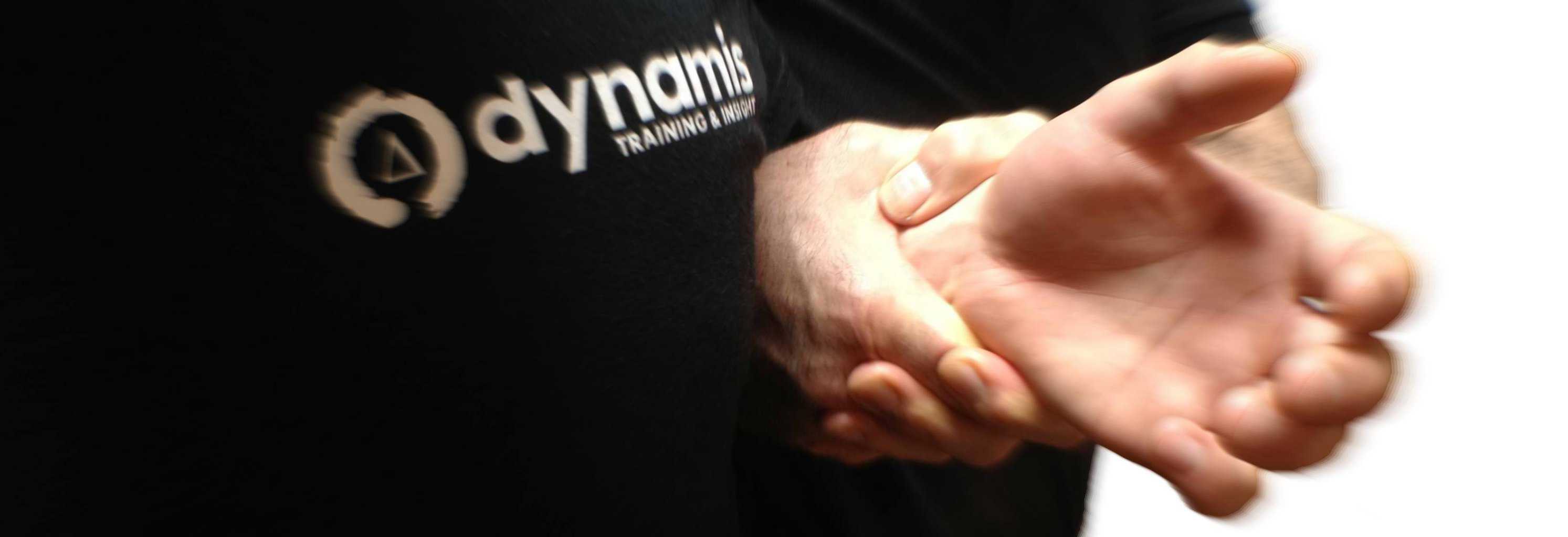 Positive Handling in Schools from Dynamis